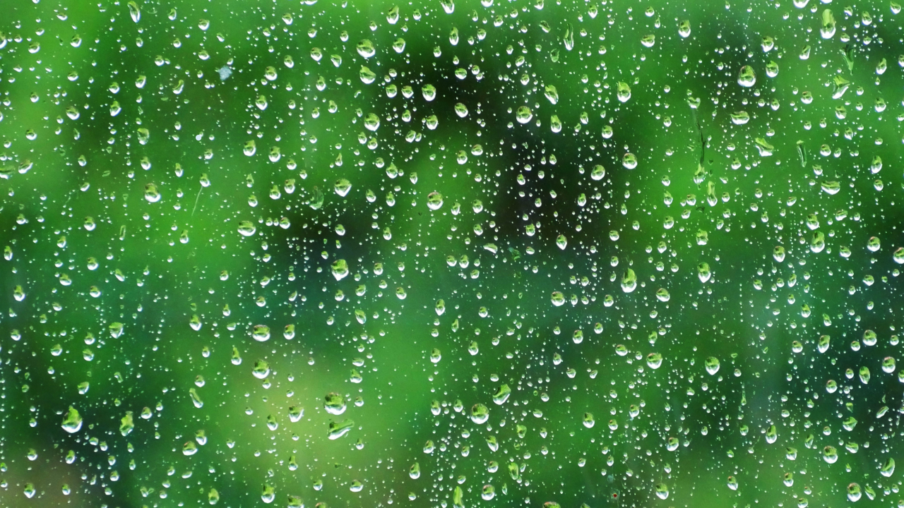 Close-up of a window covered in raindrops, with a blurred green background suggesting a garden outside. 