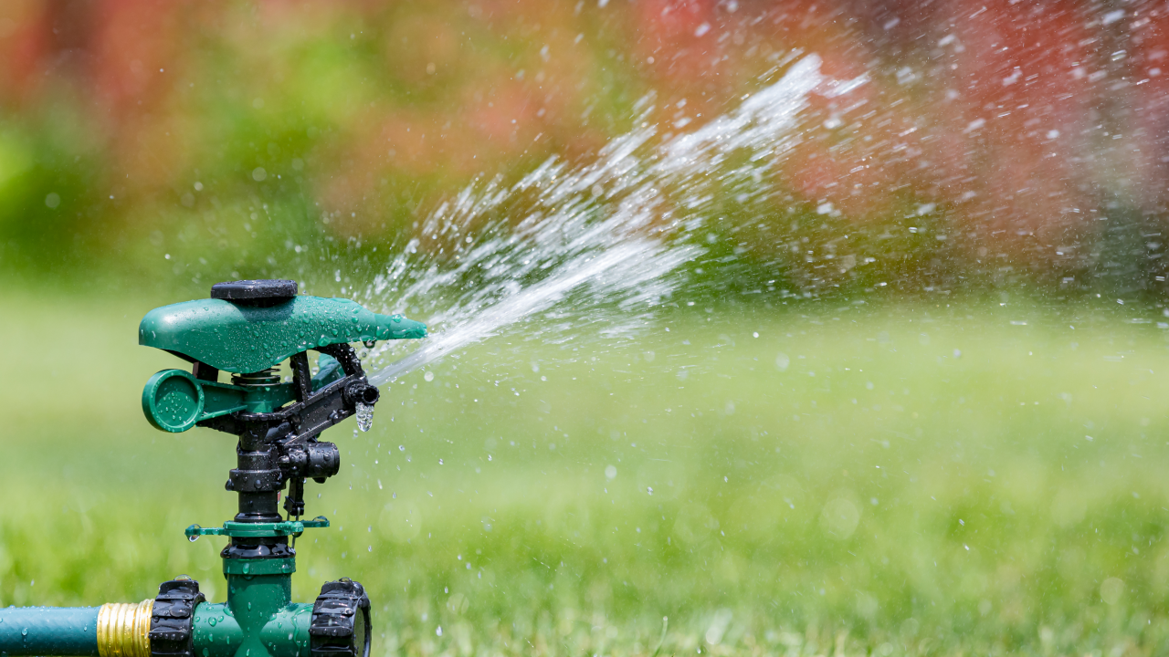 Garden sprinkler spraying water across a grass with blurred greenery in the background.