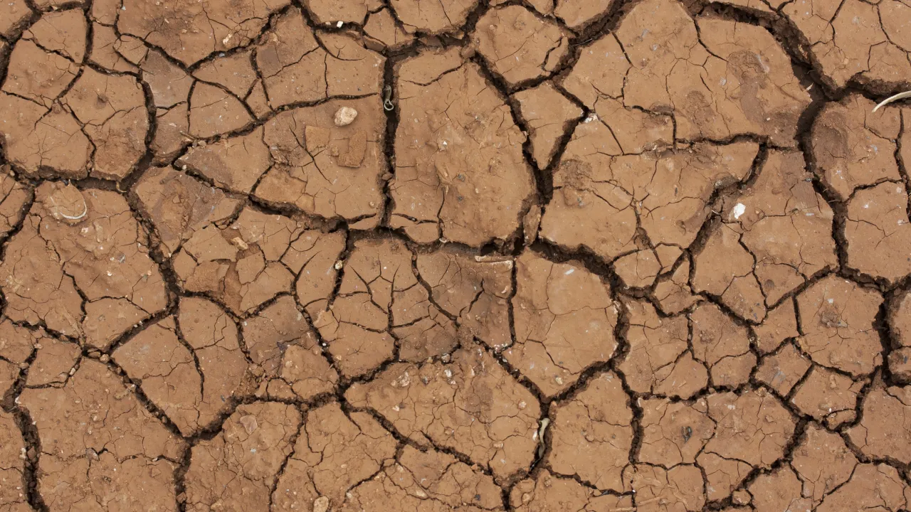 Close-up of dry, cracked earth showing signs of extreme dryness and lack of moisture.