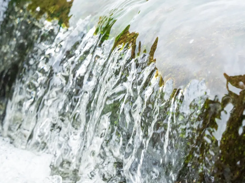 Close-up of water flowing downwards over a rock