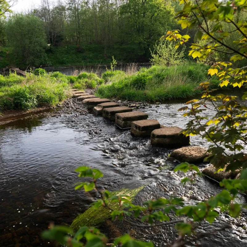 Stepping stones across the River Ayr